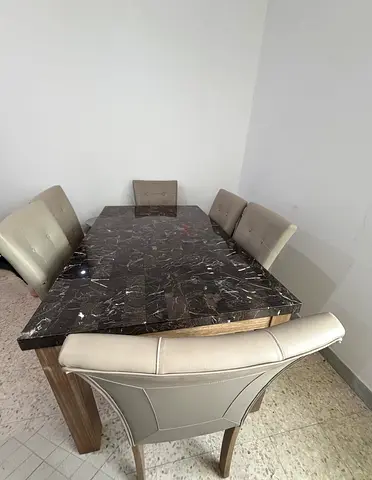 Elegant Marble Dining Table with 6 chairs