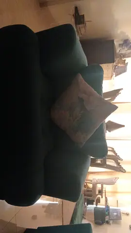 Green two-seater sofa in good used condition