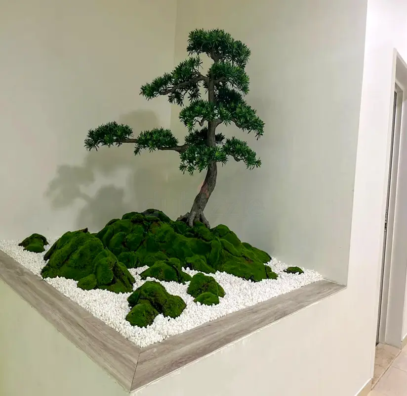 DPV_View_Image_2