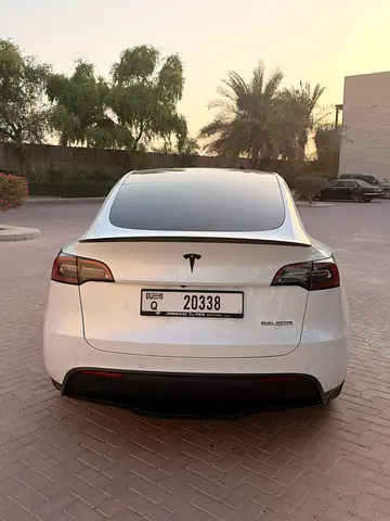 2022 Tesla MODEL Y 照片 4