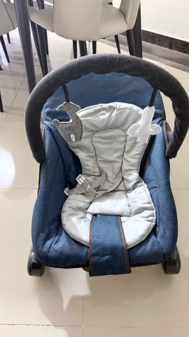 Baby swing