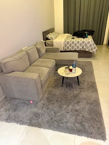 Large carpet 300x200. Grey color. Fluffy.