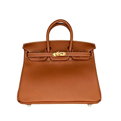 Hermes Brikin 25cm