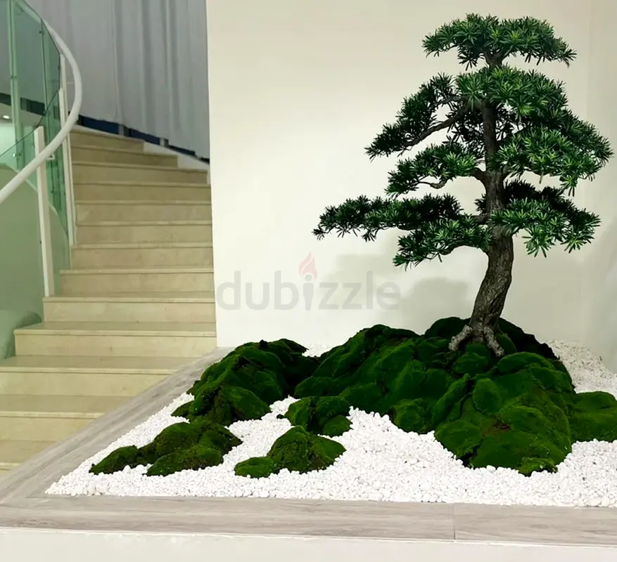 DPV_View_Image_0