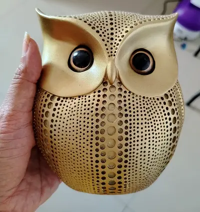 Beautiful OWL