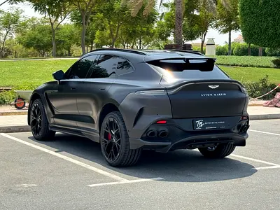 2023 Aston Martin DBX 照片 9