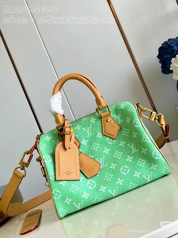 Louis vuitton speedy P9 Bandoullere 25 bag