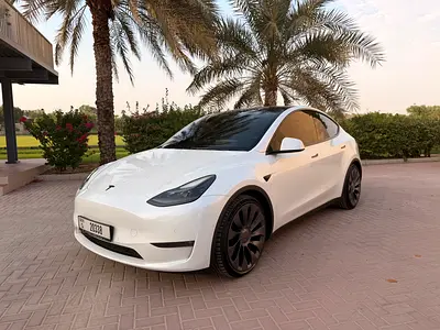 2022 Tesla MODEL Y 照片 1