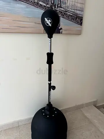 Reflex Punching Bag