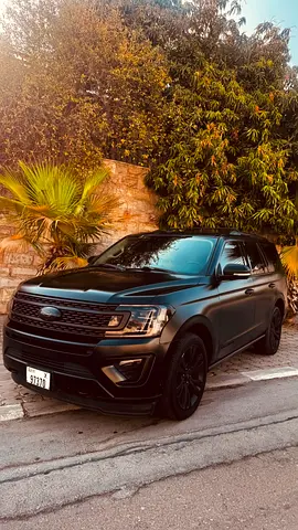 2020 FORD EXPEDITION 缩略图 11