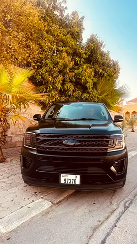 2020 FORD EXPEDITION 缩略图 5