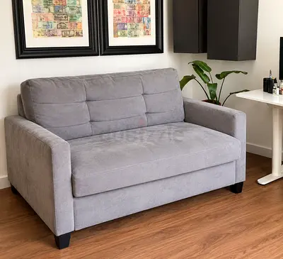 Sofa bed from Crate and Barrel