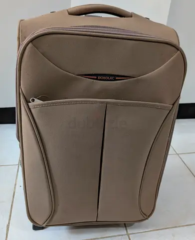 Beige Echolac Softcase Carry-on Roller Luggage