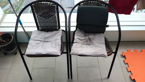 Set of 2 outdoor metal frame dining chairs with cushions