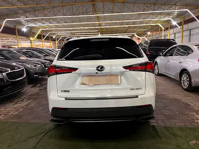 2018 Lexus NX-SERIES — фото 11