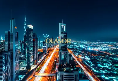 OLASOR Private Chauffeur Package | 5*Star Service | City View | Soft Life | All Bills Included | Fu