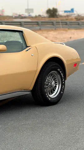 1977 Chevrolet CORVETTE — фото 3