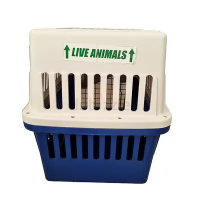 Used Medium Pet Carrier Crate with Ventilation - Blue/White