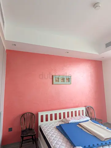 Professional Painting & Move-Out Painting Services in Dubai