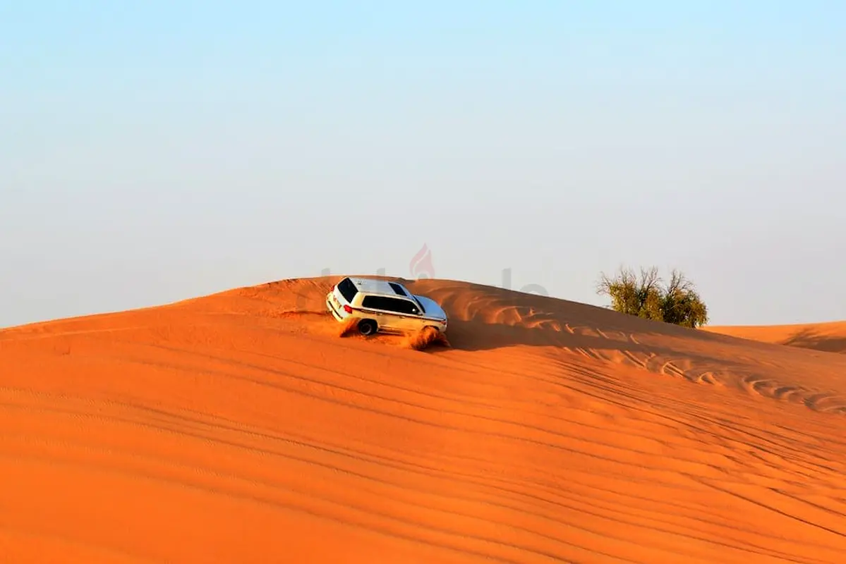 DPV_View_Image_1