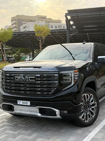 2024 GMC SIERRA 照片 9