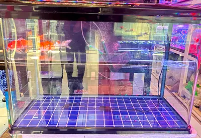 Aquarium