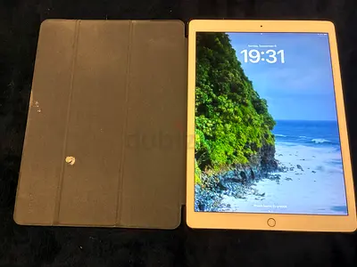 Apple IPad Pro 12.9 inch 256GB