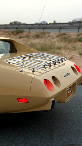1977 Chevrolet CORVETTE — фото 9