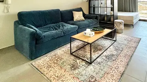 Sofa and Rug