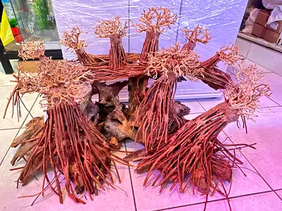 Wood