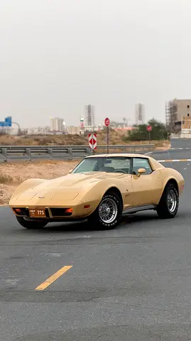 1977 Chevrolet CORVETTE — фото 1
