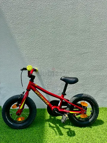 Specialized Riprock Coaster 12