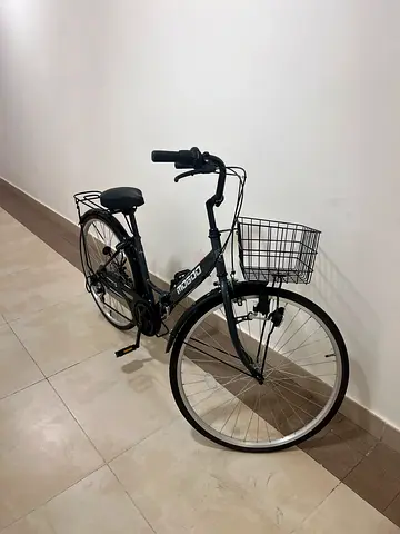 Mogoo Adult Folding Bike - 26 inch