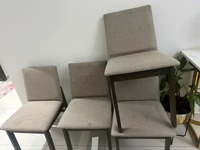 Dinning chairs