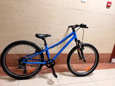 Specialized Hotrock 24” Kids Bike
