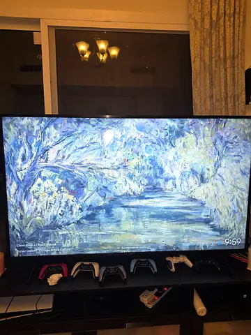 65 inch 4K Sony Bravia TV. Flawless