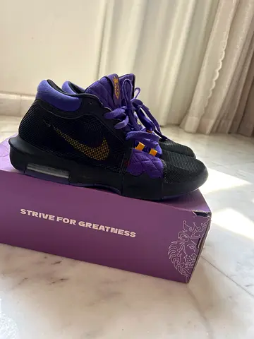 LeBron witness VIII/8’s NEGOTIABLE SIZE 45