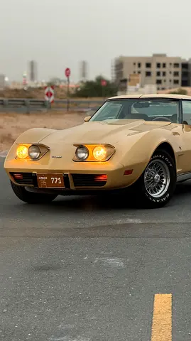 1977 Chevrolet CORVETTE — фото 5