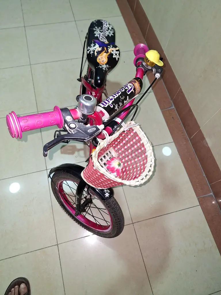 DPV_View_Image_2