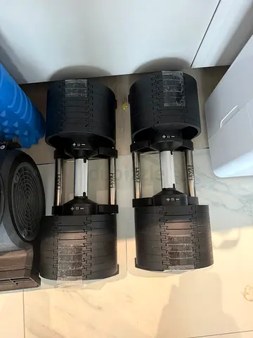 Adjustable dumbbells - Level Fitness