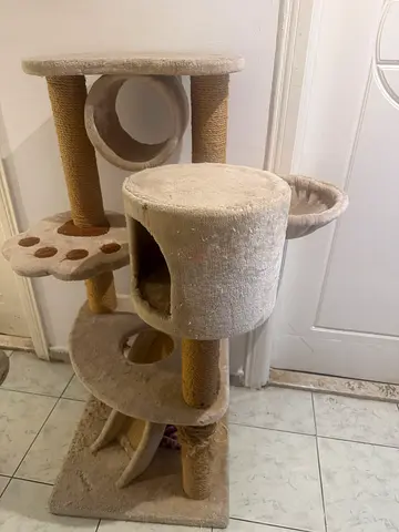 Cat food and water dispenser, litter box and cat tree