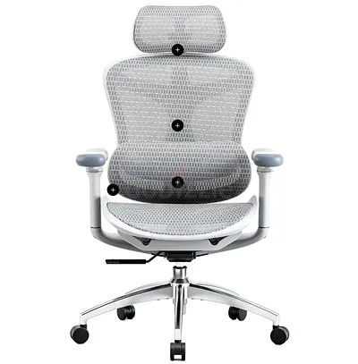 SIHOO Doro C300 Ergonomic Office Chair - Light Grey, Adjustable Headrest