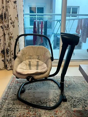 Baby Swing & Rocker