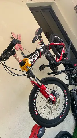 Bicycle with gear and foldable for sale