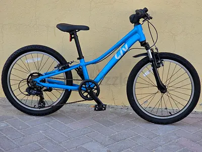 Live tempt 20 Kids bike