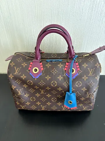 Limited Edition LV Brown monogram structured handbag with colored leather accents