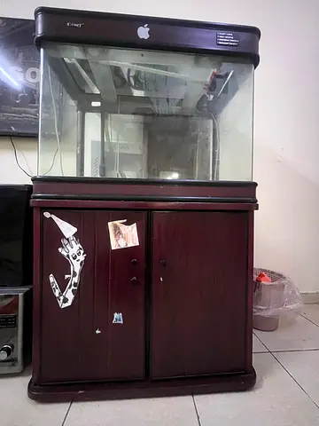 Large Glass Aquarium with Wooden Stand - Good Condition