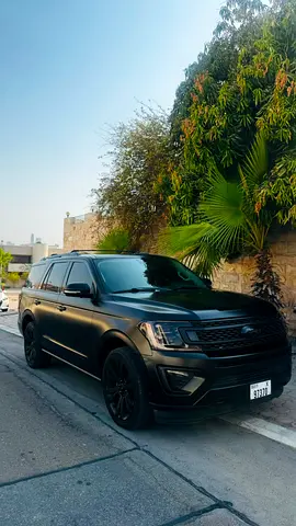 2020 FORD EXPEDITION 缩略图 2