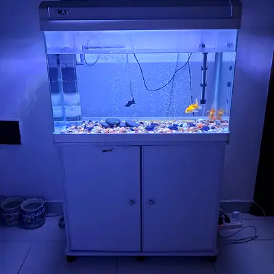 Complete Fish Tank with Cabinet, Filter and LED Light - Ready to Use
