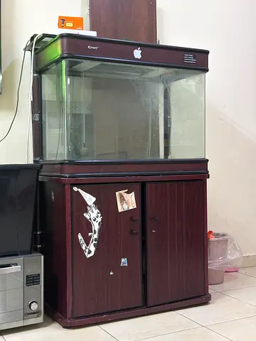 Large Glass Aquarium with Wooden Cabinet - Ready for Setup including filters